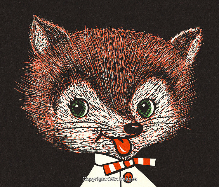 Illustrated Fox Character with Whimsical Look in Retro Cartoon Style