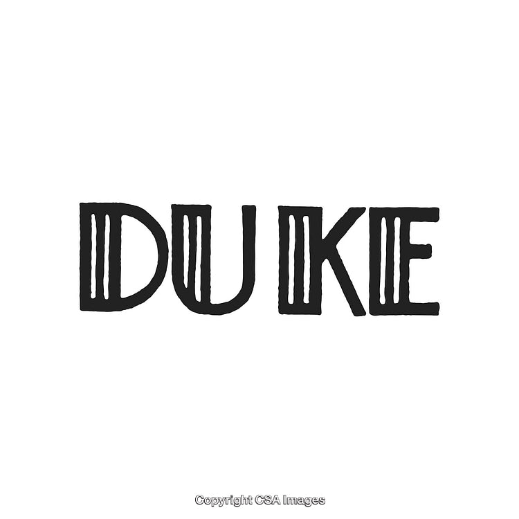 Minimalist Black Text Design Featuring the Word Duke on a White Background