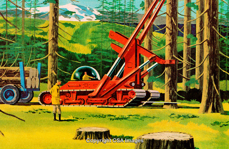 Modern Logging Equipment in a Forested Mountain Area During Operation