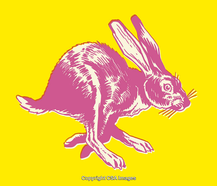 Vibrant Pink Rabbit Illustration on Bright Yellow Background for Modern Art Themes