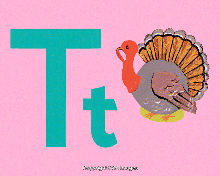 Colorful Illustration of Letter T with Turkey on Pink Background