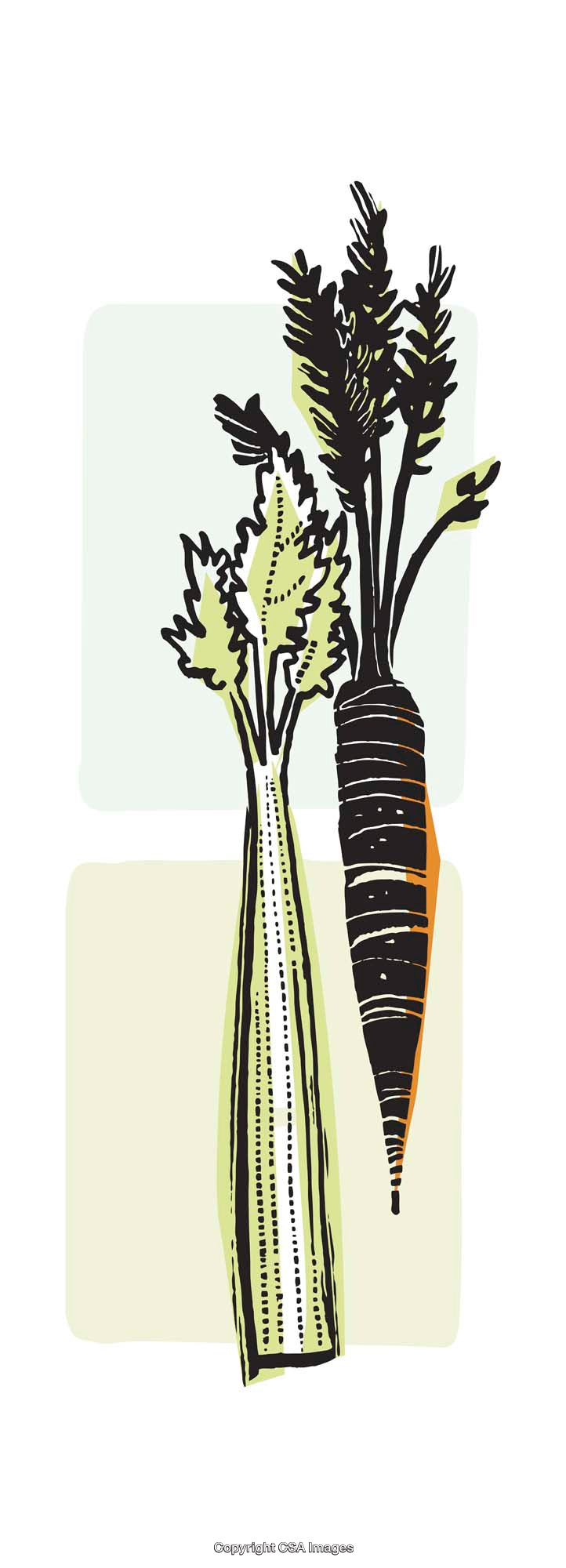 Illustrated Celery and Carrot in Vibrant Modern Style with Bold Colors