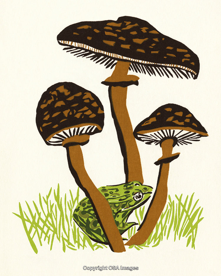 Frog Under Brown Mushrooms in Vibrant Green Grass Spring Illustration