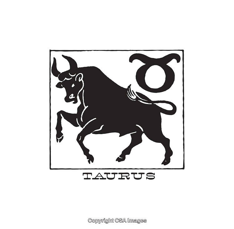 Black and White Zodiac Illustration of Taurus Sign Featuring Bull Symbol
