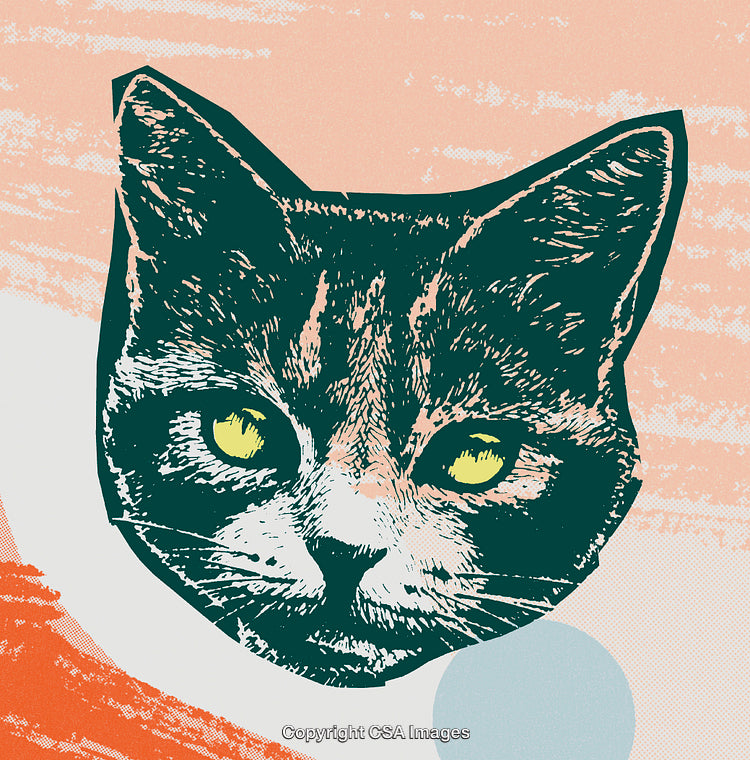 Colorful Pop Art Cat Portrait with Abstract Geometric Background