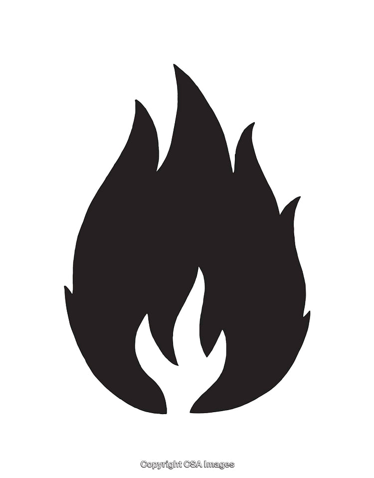 Black and White Flame Icon with Graphic Symbolism