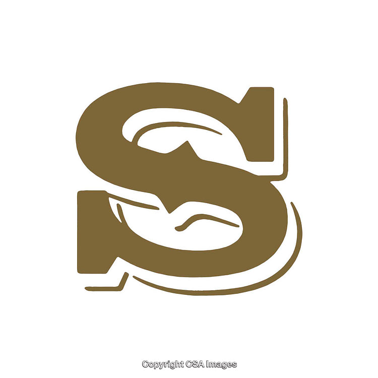 Stylized Letter S in a Bold Serif Design on White Background
