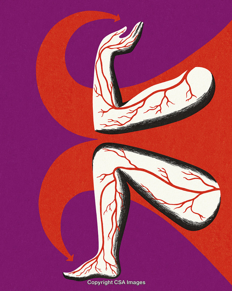 Abstract Illustration of Human Limbs with Vein Anatomy and Bold Color Graphics