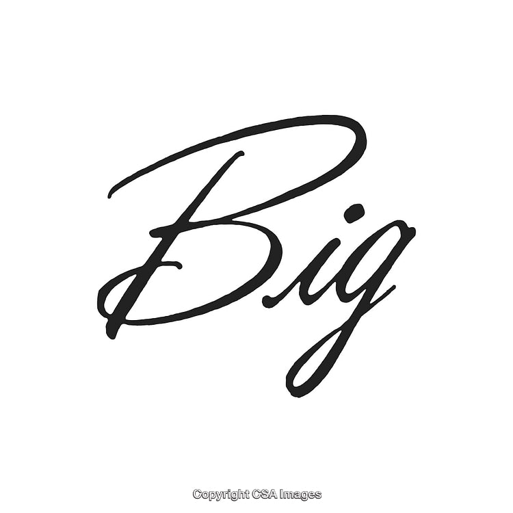 Elegant Script Typography Featuring the Word "Big" in a Stylish Black Font