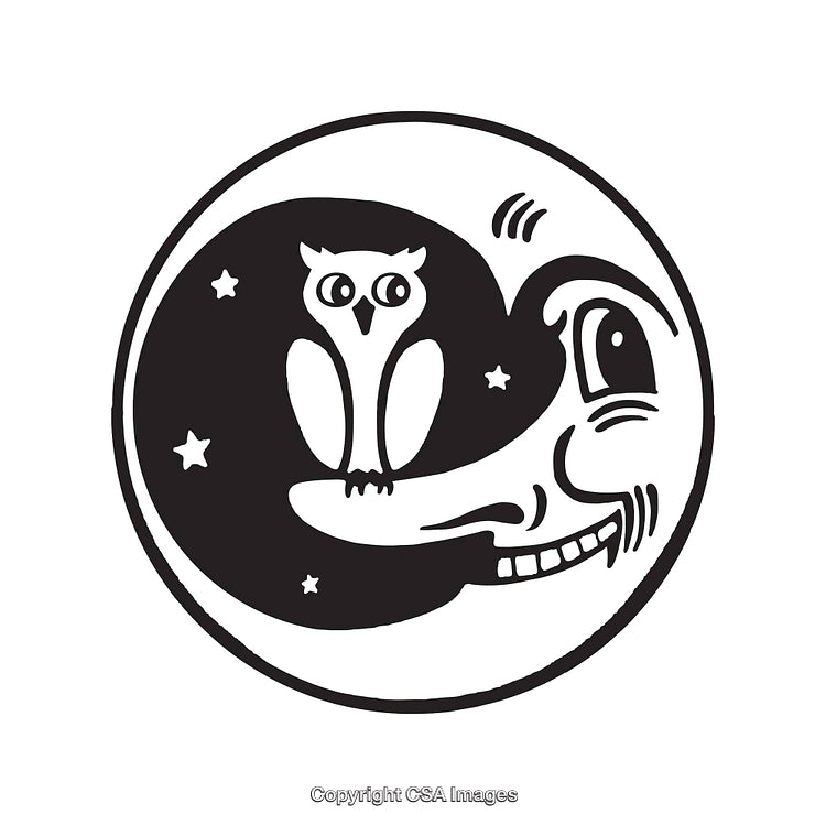 Black And White Line Art Illustration of Moon And Owl