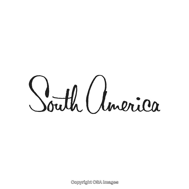 Elegant Handwritten South America Text Design in Black Ink on White Background