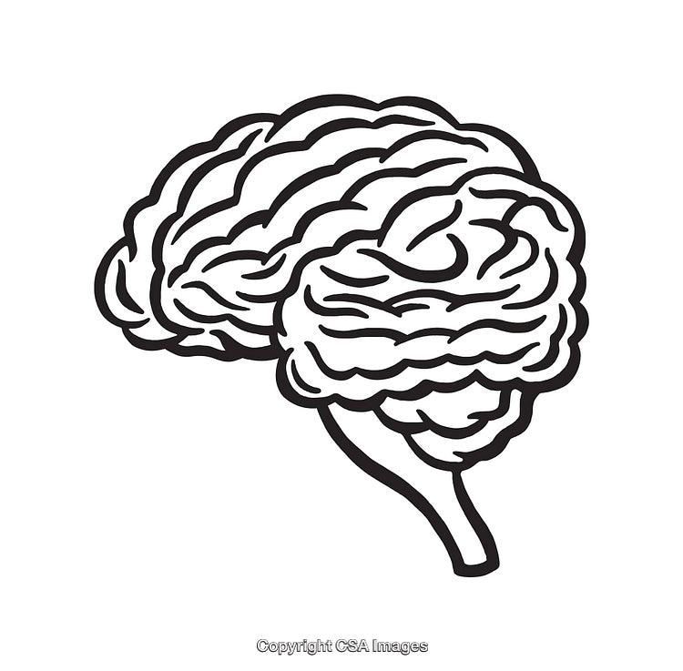 Black And White Line Art Illustration of a Human Brain Outline