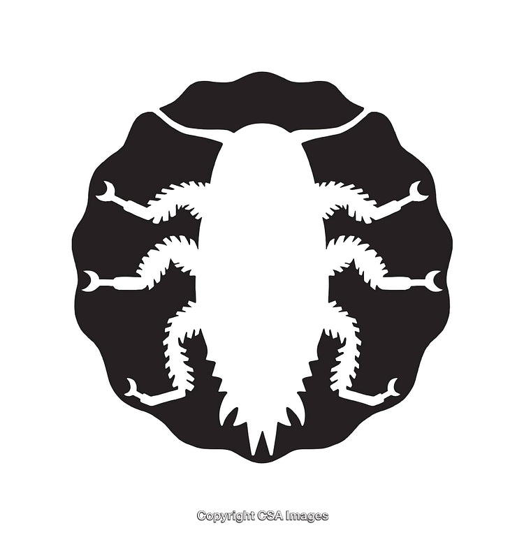 Black and White Bug Silhouette Within Circle Design