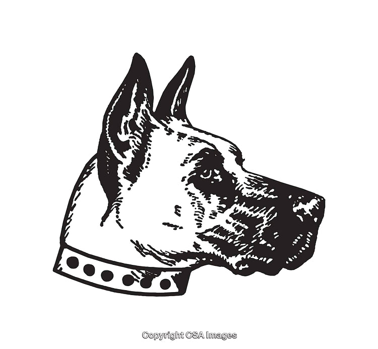 Hand-Drawn Illustration of a Dog Head in Black and White Style