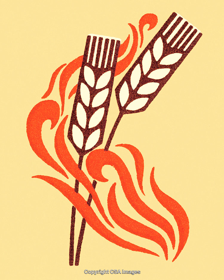 Flaming Wheat Illustration Depicting Energy and Growth With Bold Colors
