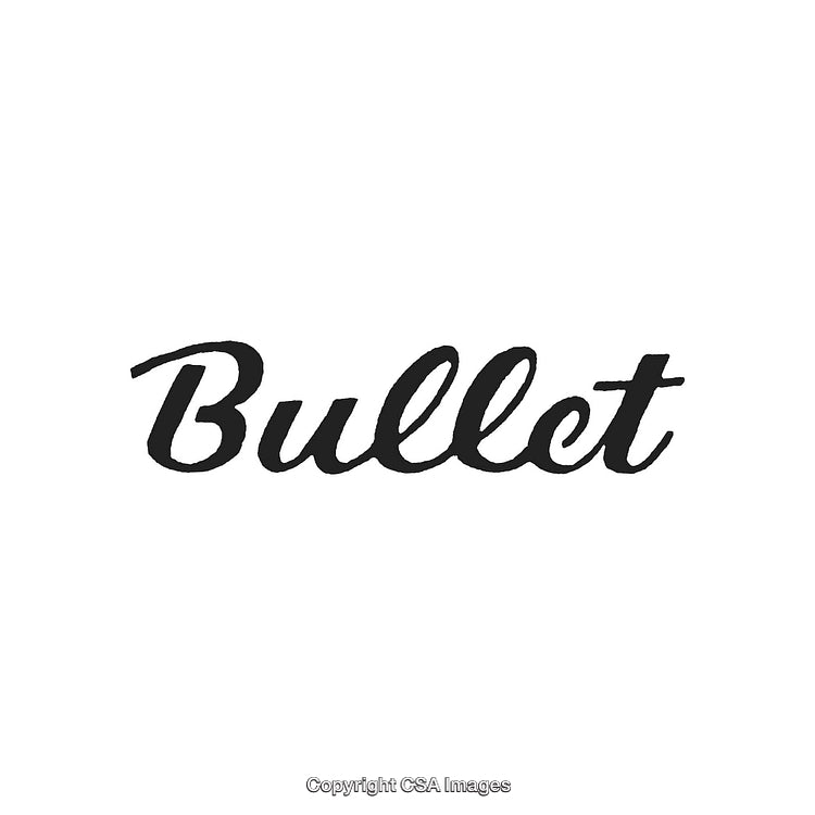 Elegant Text Logo in Brush Script on White Background