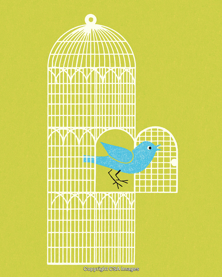 Blue Bird and Open Cage Illustration on a Bright Yellow Background