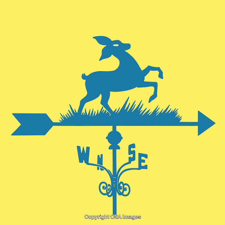 Silhouetted Deer Weather Vane Over Yellow Background with Directional Indicators