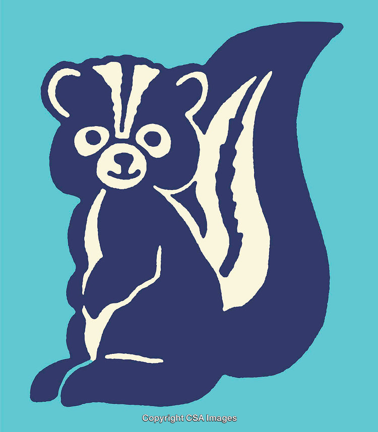 Colorful Line Art Illustration of a Cute Cartoon Styled Skunk