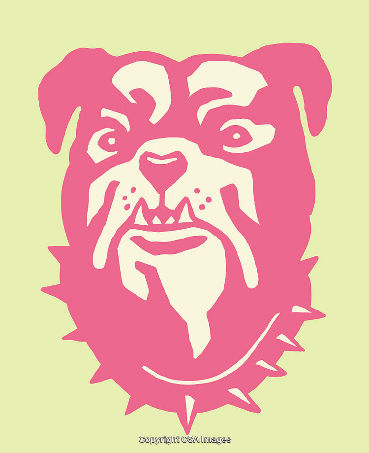 Colorful Illustration of a Stylized Dog Portrait With Vibrant Colors and Details