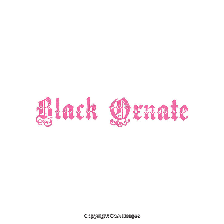 Decorative Pink Typography in Ornate Blackletter Style on White Background
