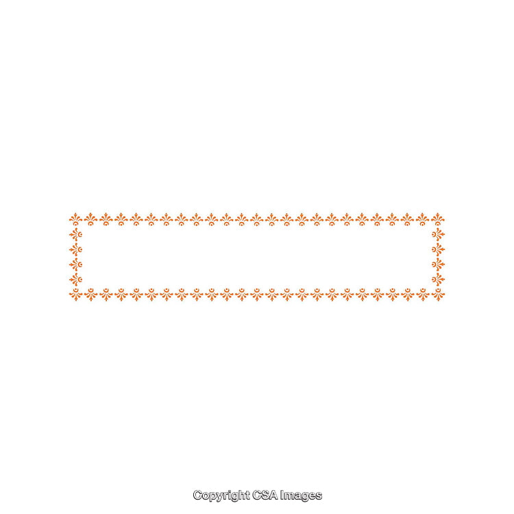 Rectangular Decorative Floral Frame Design With Orange Elements on White Background