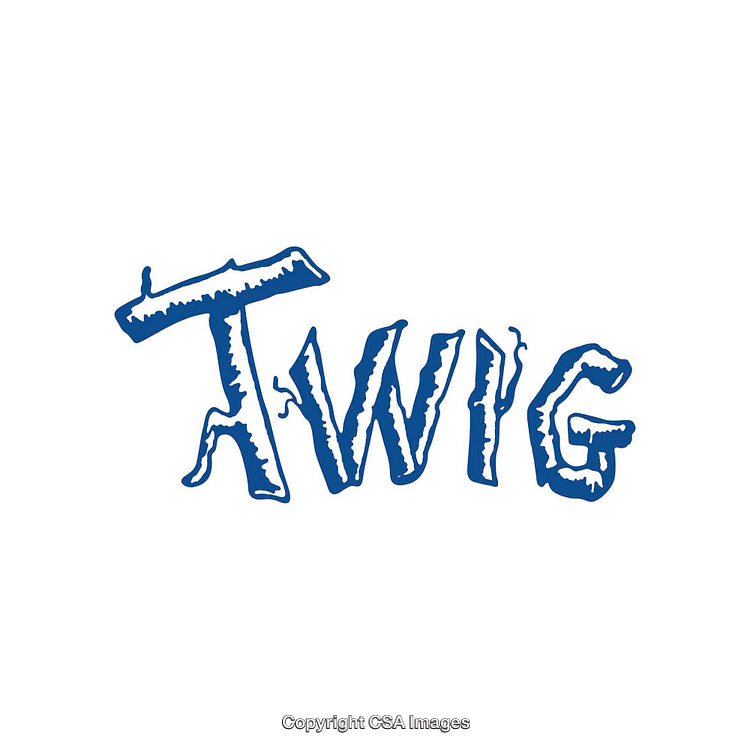 Creative Blue Twig-Themed Typography with Unique Hand-Drawn Style