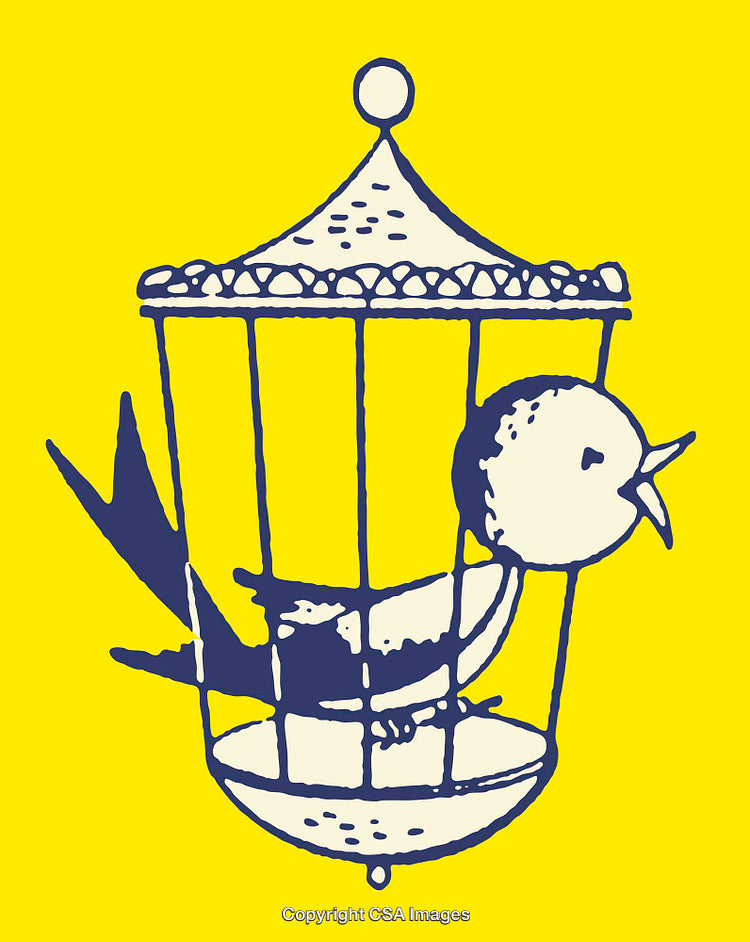Blue Bird in a Cage Illustrated on Bright Yellow Background