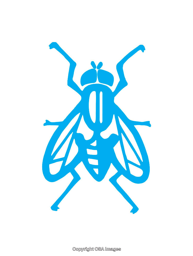Blue Fly Icon Illustration with Minimalist Design on White Background