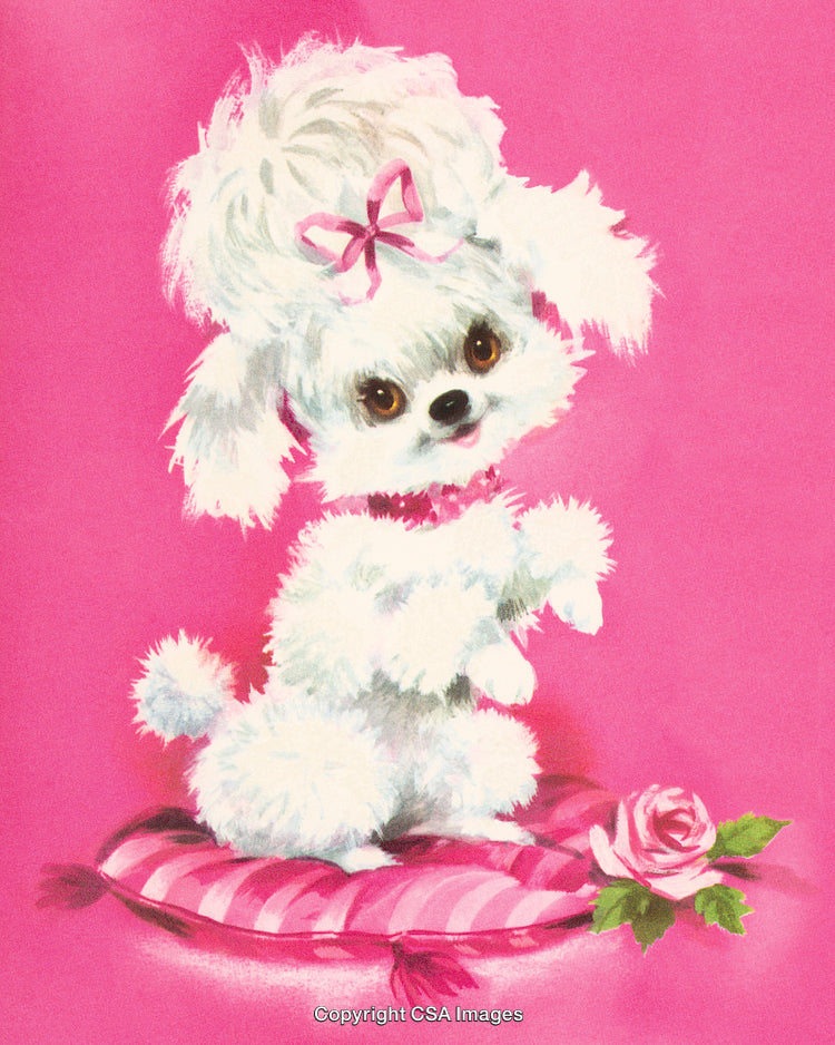 Adorable White Poodle Sitting on Pink Cushion with Cute Feminine Accessories