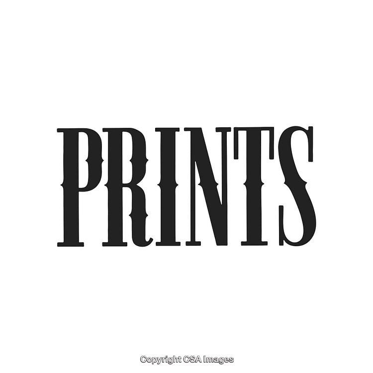 Elegant Black Serif Font Displaying 'Prints' in Bold Typography