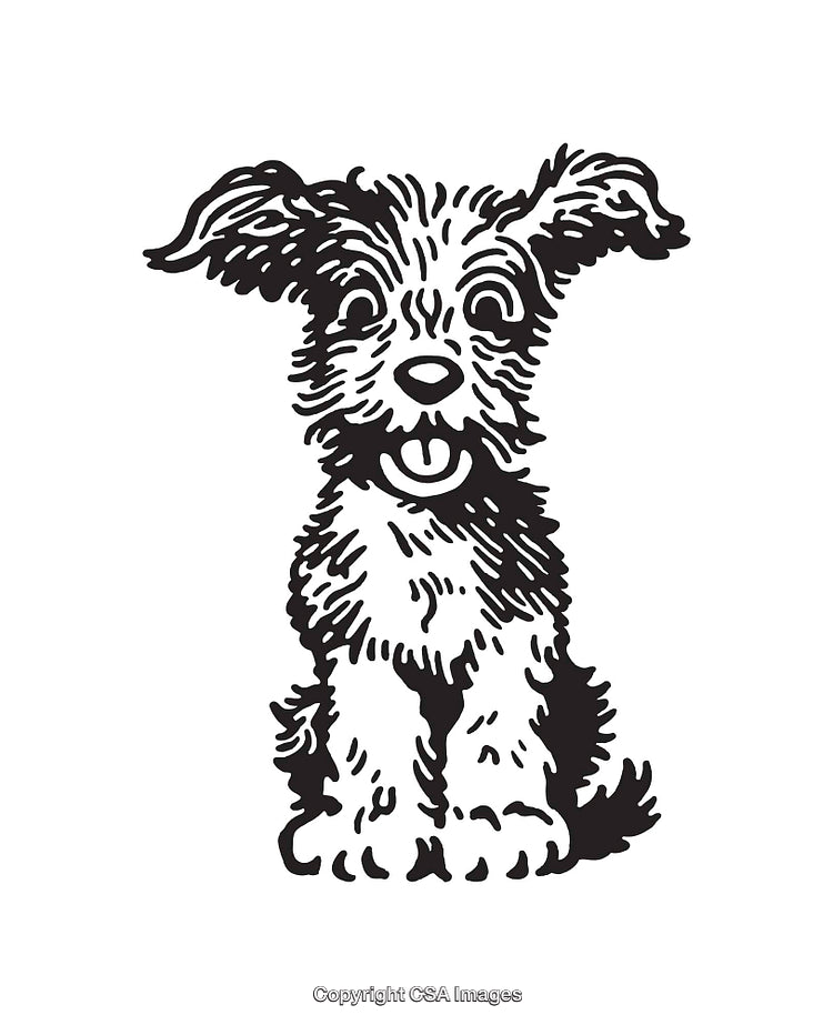 Black and White Line Art of a Cheerful Fluffy Dog
