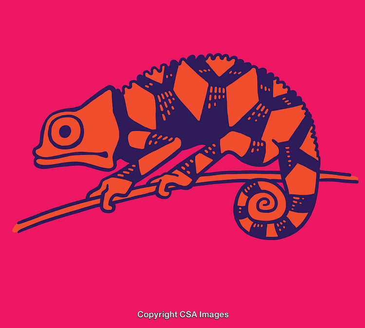Colorful Line Art Illustration of a Chameleon on a Bright Background