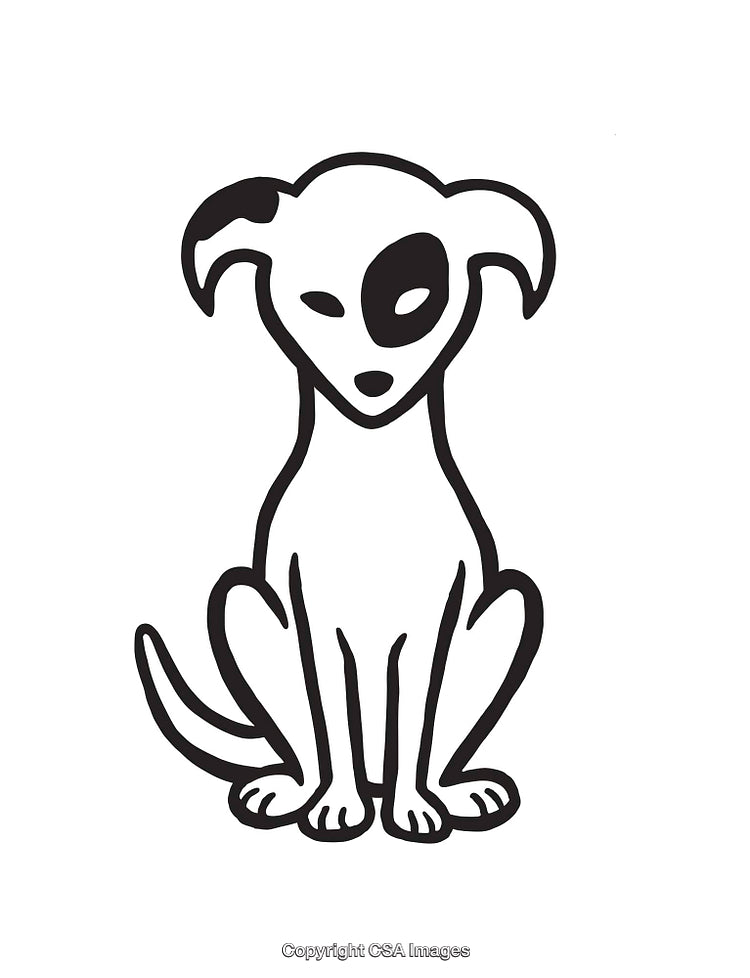 Black and White Line Art of a Dog with a Unique Eye Patch