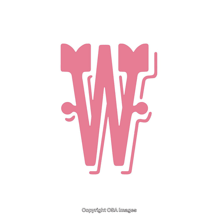 Stylized Pink Letter W on a White Background