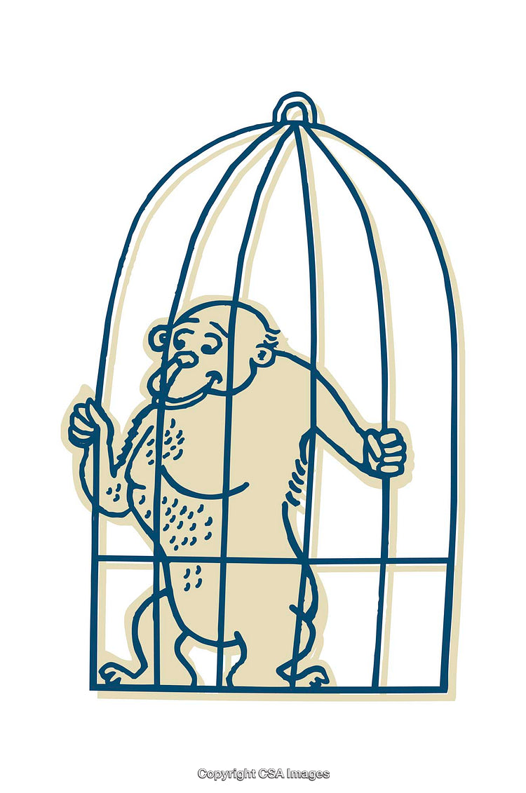 Colorful Illustration of a Monkey Inside a Cage With Expressive Design