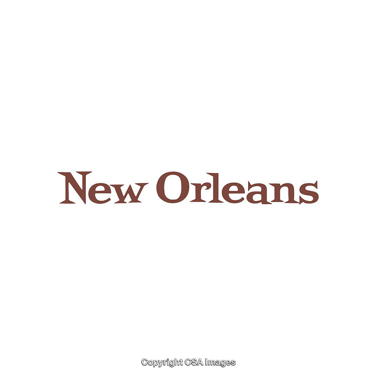 Elegant Typography Featuring the Text 'New Orleans' in Bold Brown Font Design