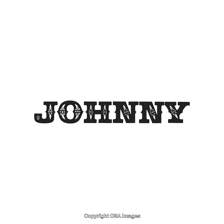 Stylized Bold Decorative Johnny Name Typography on a White Background