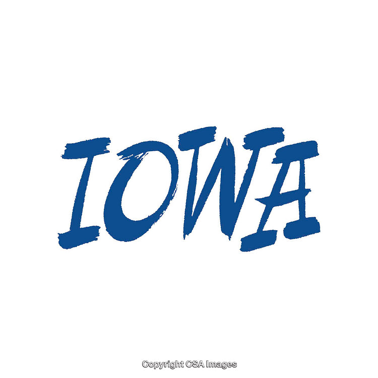 Stylized Blue Iowa Text on a Minimalist White Background