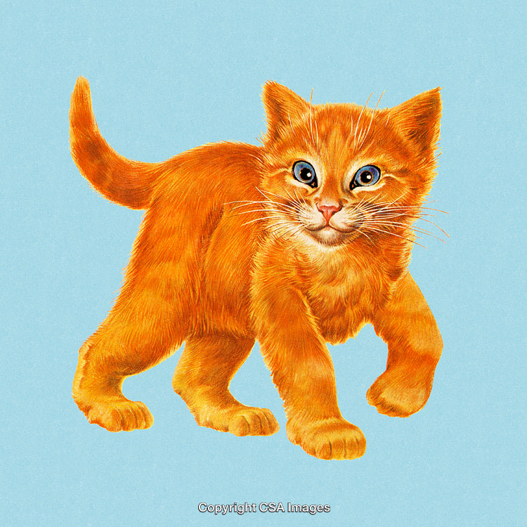 Illustration of an Adorable Ginger Kitten with Playful Expression on a Light Background
