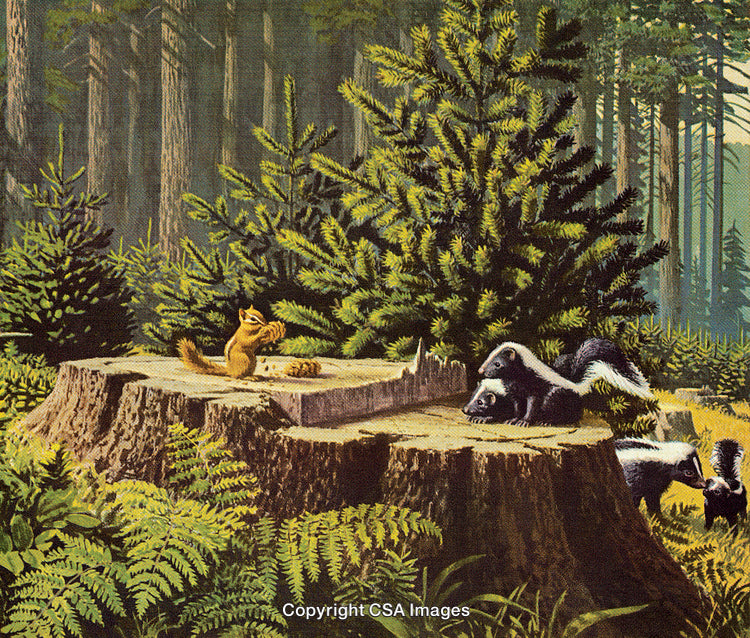 Woodland Animals Gather on a Tree Stump in a Serene Forest Setting