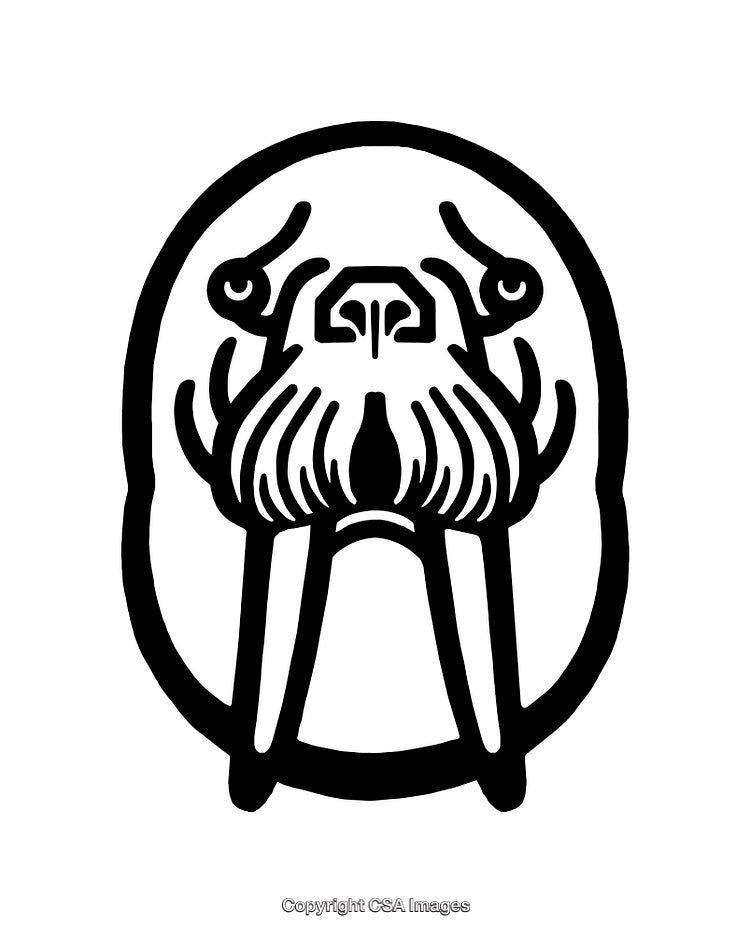 Stylized Black and White Walrus Line Art Face Illustration