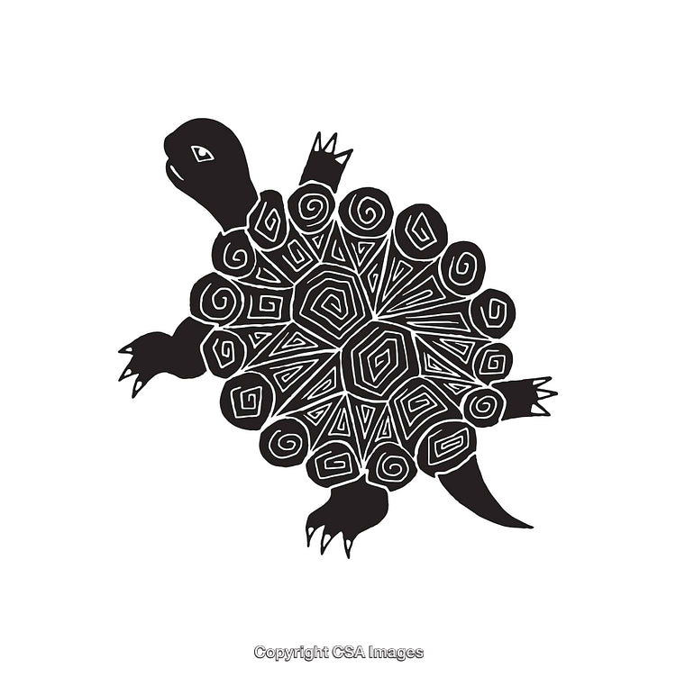 Intricate Black and White Turtle Line Art with Abstract Patterns