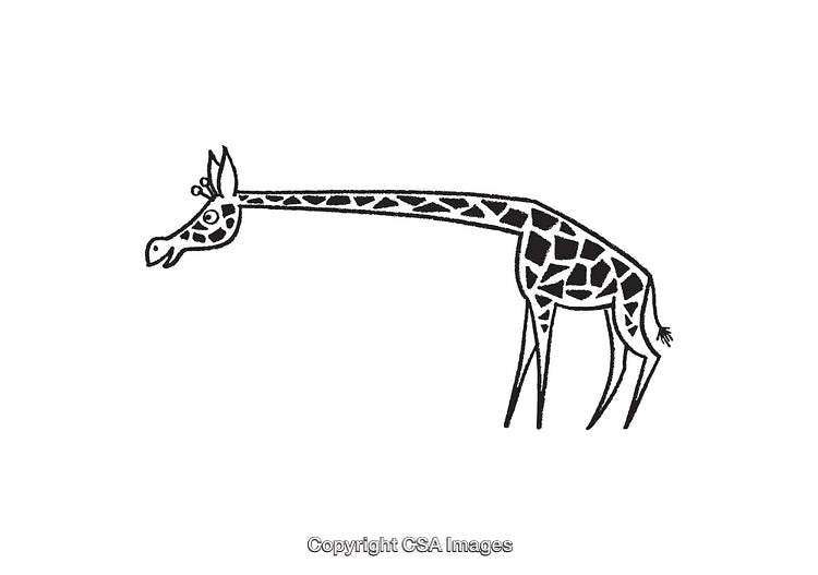 Black and White Line Art Giraffe Illustration With Abstract Shapes
