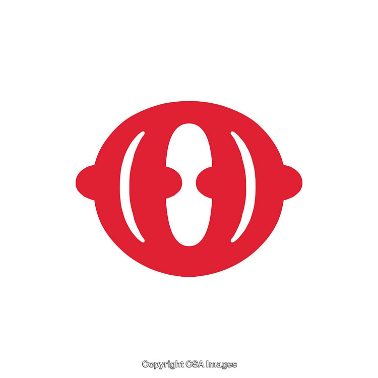 Bold Red Letter O On Plain White Background