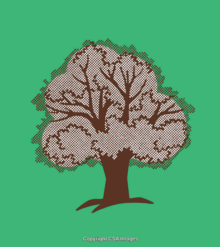 Stylized Tree Illustration with Vibrant Green Background