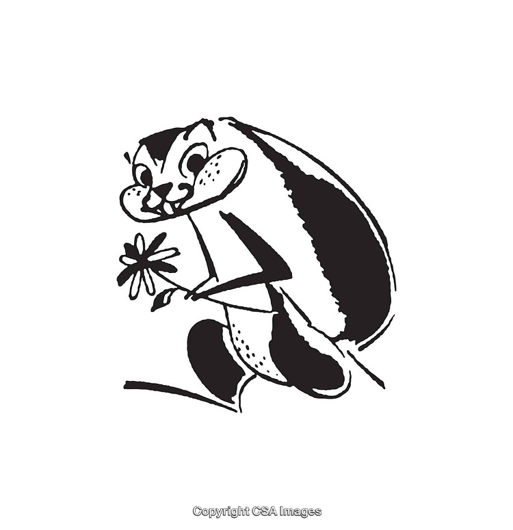 Black And White Line Art of Skunk Holding Flower