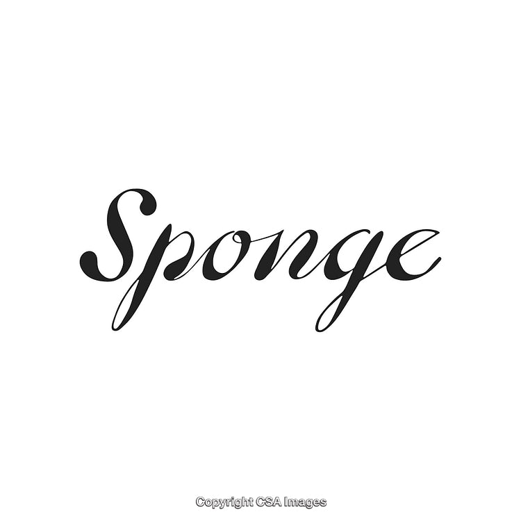 Elegant Black Script Text Design Featuring the Word Sponge on White