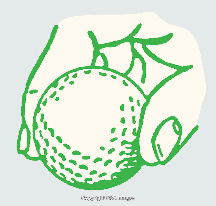 Hand Holding a Ball in Green Line Art Illustration