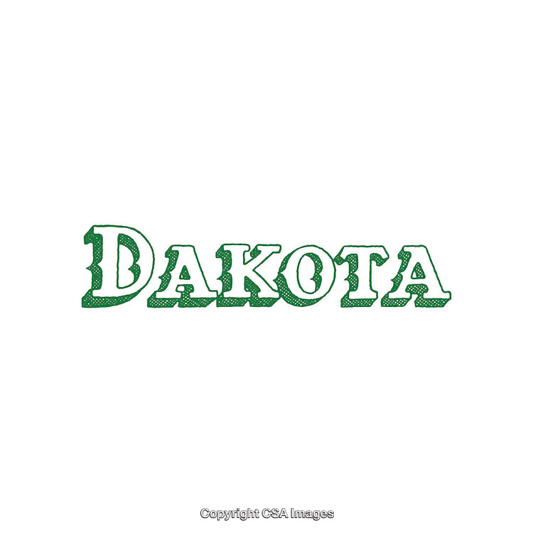 Green Retro Lettering Displaying the Word Dakota